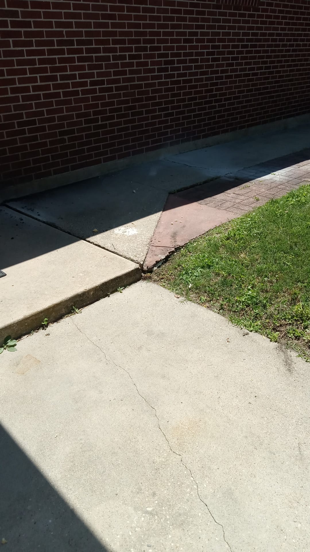 Concrete Sidewalk Leveling in Metairie, LA